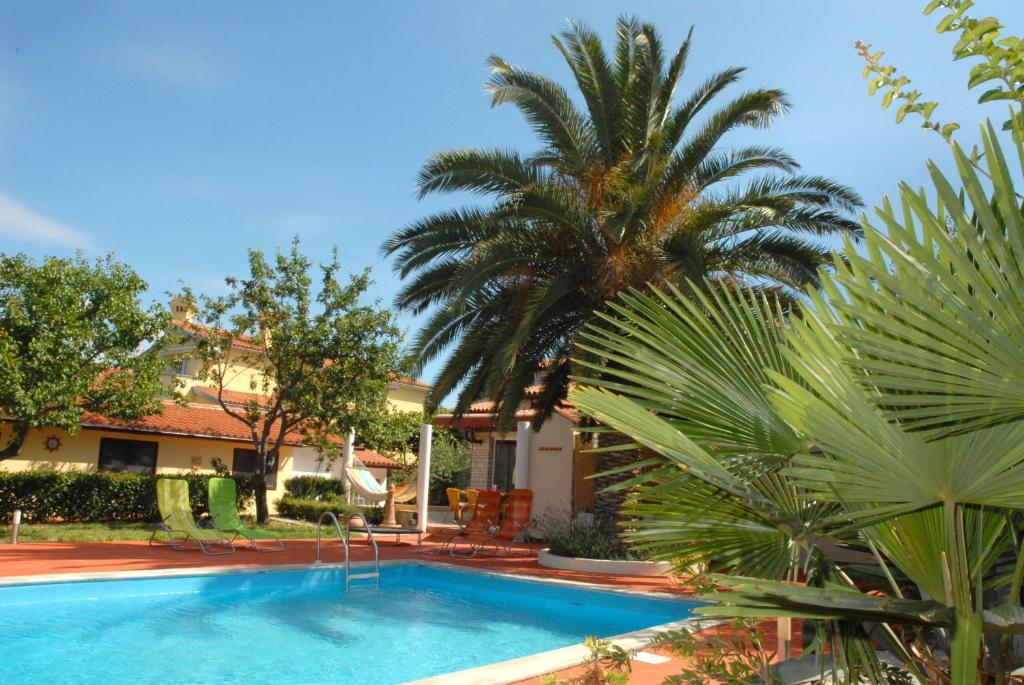 a palm tree and a swimming pool in a yard at Holiday Home Villa Margherita in Pula