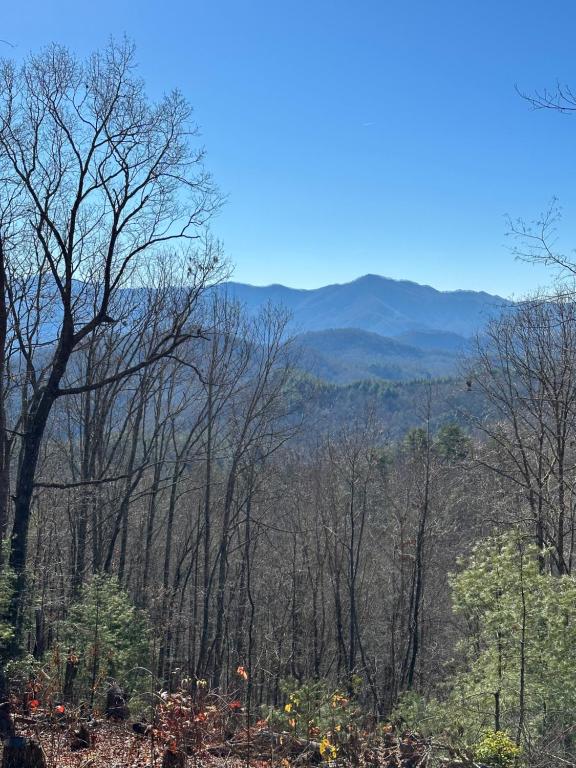 a view of a forest with mountains in the background at Stunning Views, Superb Atmosphere, Modern Amenities, In the Middle of Nature in Bryson City