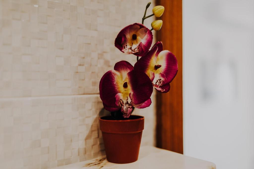 Foto da galeria de Apartamentos Sol & Ria em Olhão
