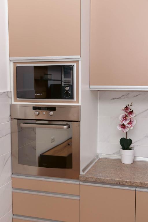 Kuchyň nebo kuchyňský kout v ubytování Millennium Apartment