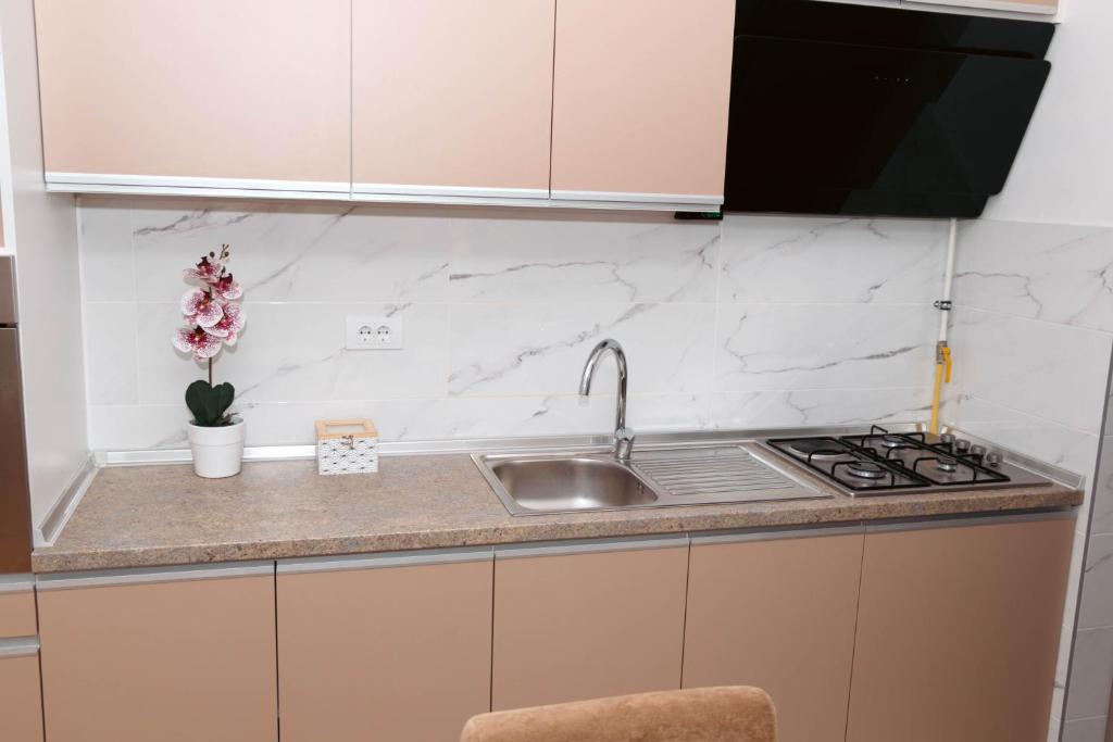 Kuchyň nebo kuchyňský kout v ubytování Millennium Apartment