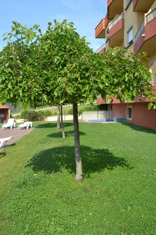 Ogród w obiekcie Apartamentos Montalvo Playa
