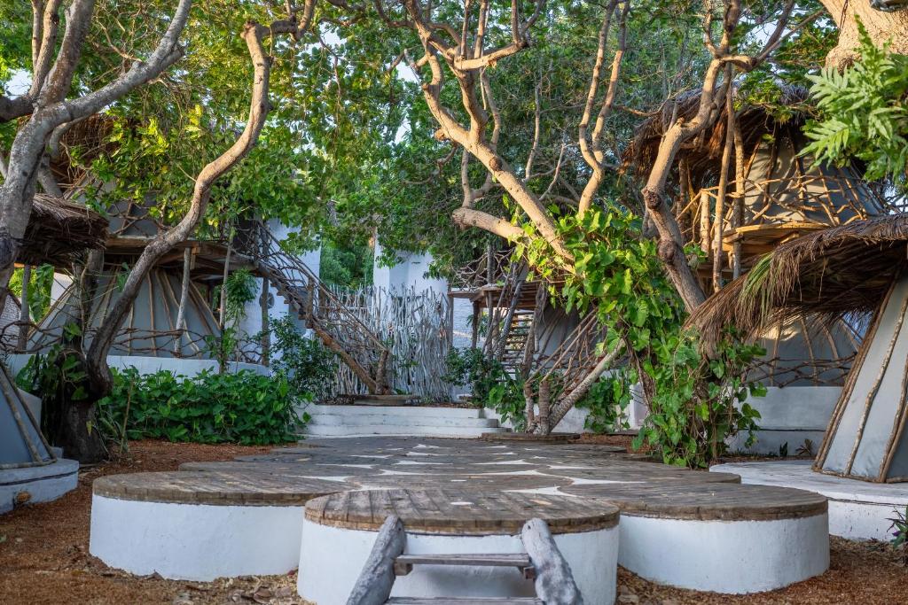 傑里科科拉的住宿－Bahaka Jeri，一个带长凳和树木的花园