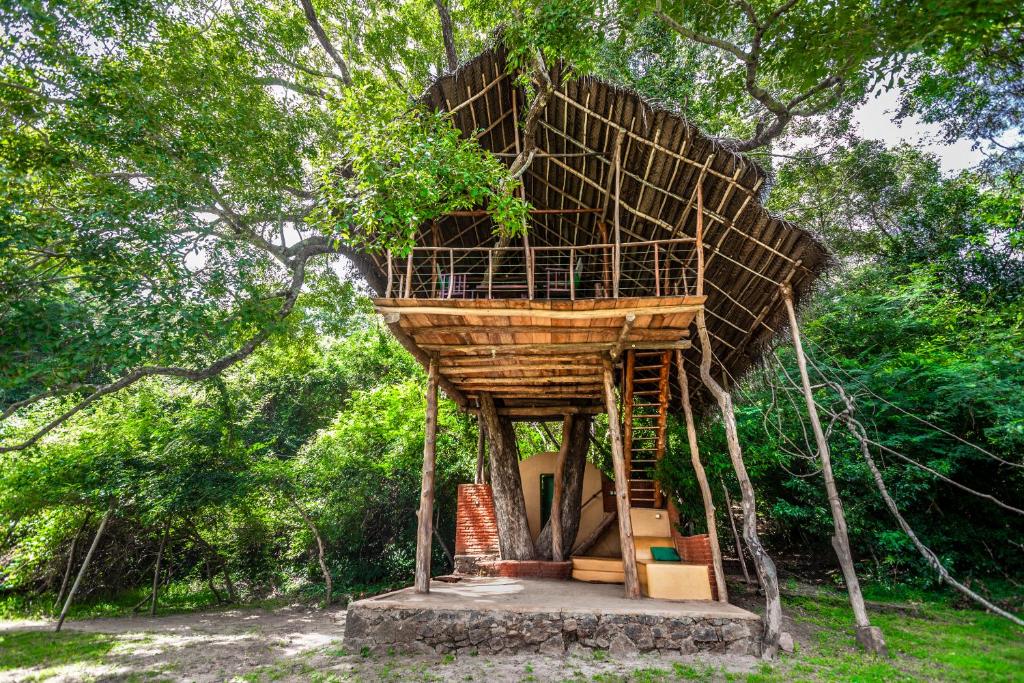 uma casa na árvore no meio de uma floresta em Back of Beyond - Wild Haven em Sigiriya