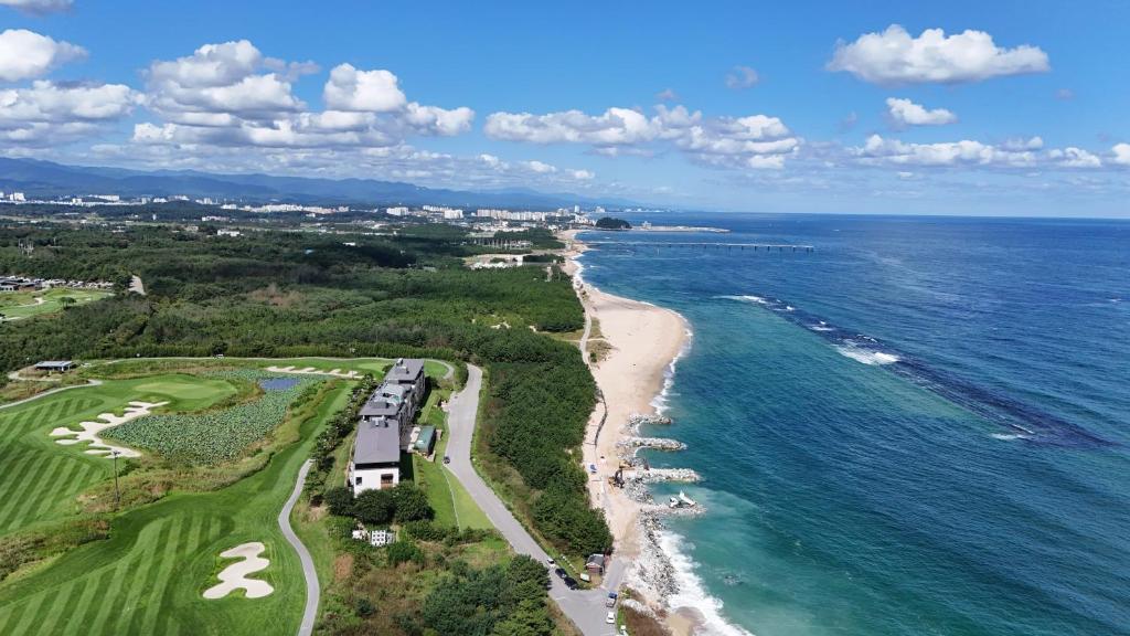 an aerial view of a beach and the ocean at Maple Beach Golf & Resort in Gangneung