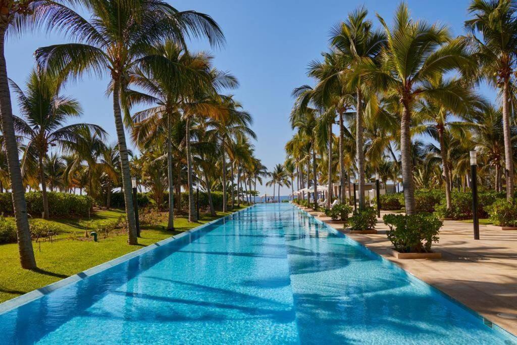 a swimming pool lined with palm trees on a beach at Ixtapa sensacional in Zihuatanejo