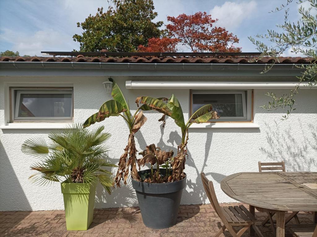 une terrasse avec une table et une plante en pot dans l'établissement Chambre cosy et salle d'eau dans maison Mérignac Arlac, à Mérignac