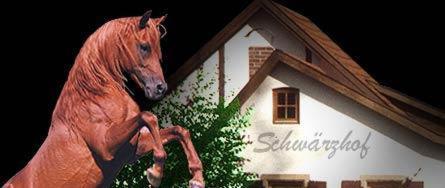 a statue of a horse in front of a building at Landhotel Schwärzhof in Kulmbach