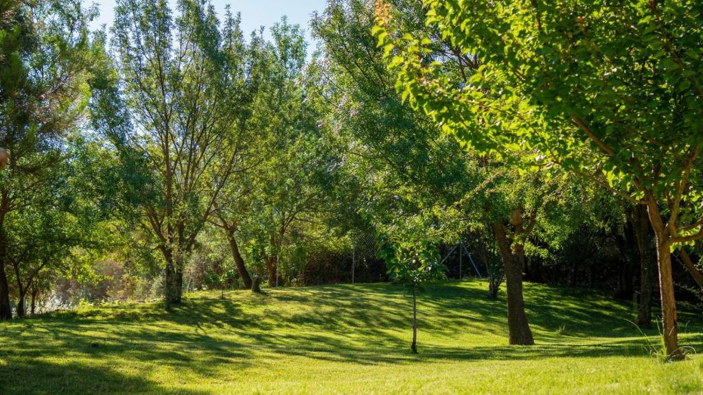 Vonkajšia záhrada v ubytovaní Molino Higueral Villanueva del Trabuco by Ruralidays