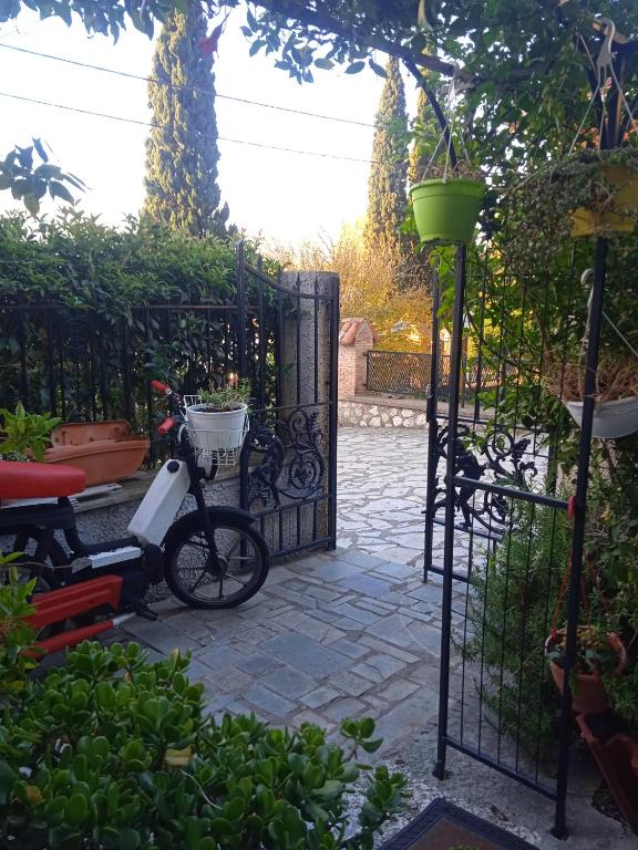 Κήπος έξω από το art studio