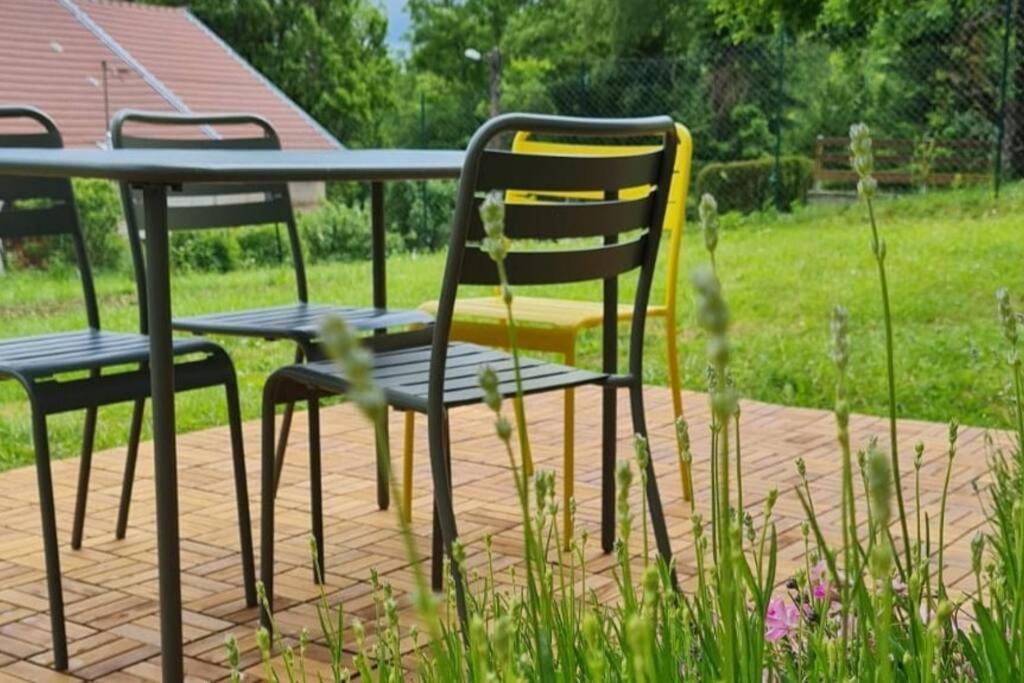 two chairs and a table with a dog in a yard at Gite du bibicherat in Largillay-Marsonnay