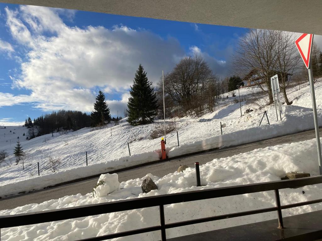 una strada ricoperta di neve con un idrante rosso di Útulný apartmán 50m od lyžiarskeho vleku Triangel a Donovaly