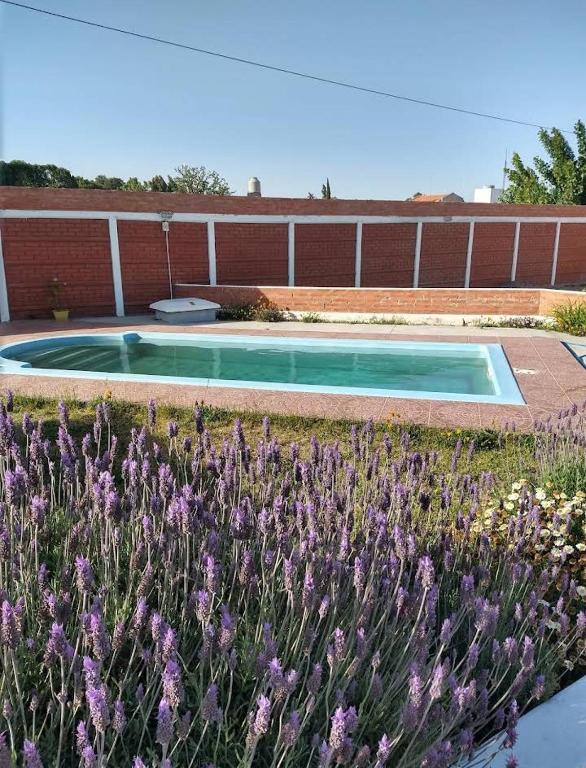 Cabañas Costa Azul