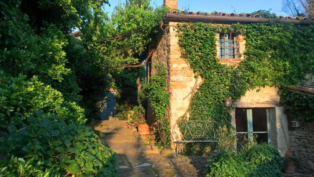 un edificio ricoperto di edera con finestra e panca di Antico-Borgo-Le-Torricelle-Kleines-Haus a Piandimeleto