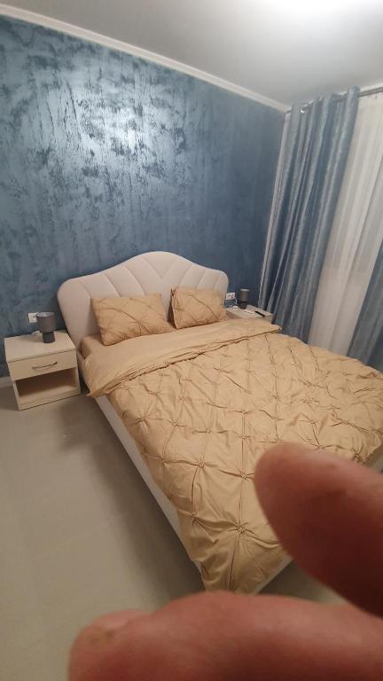 Postel nebo postele na pokoji v ubytování casa nedelcu