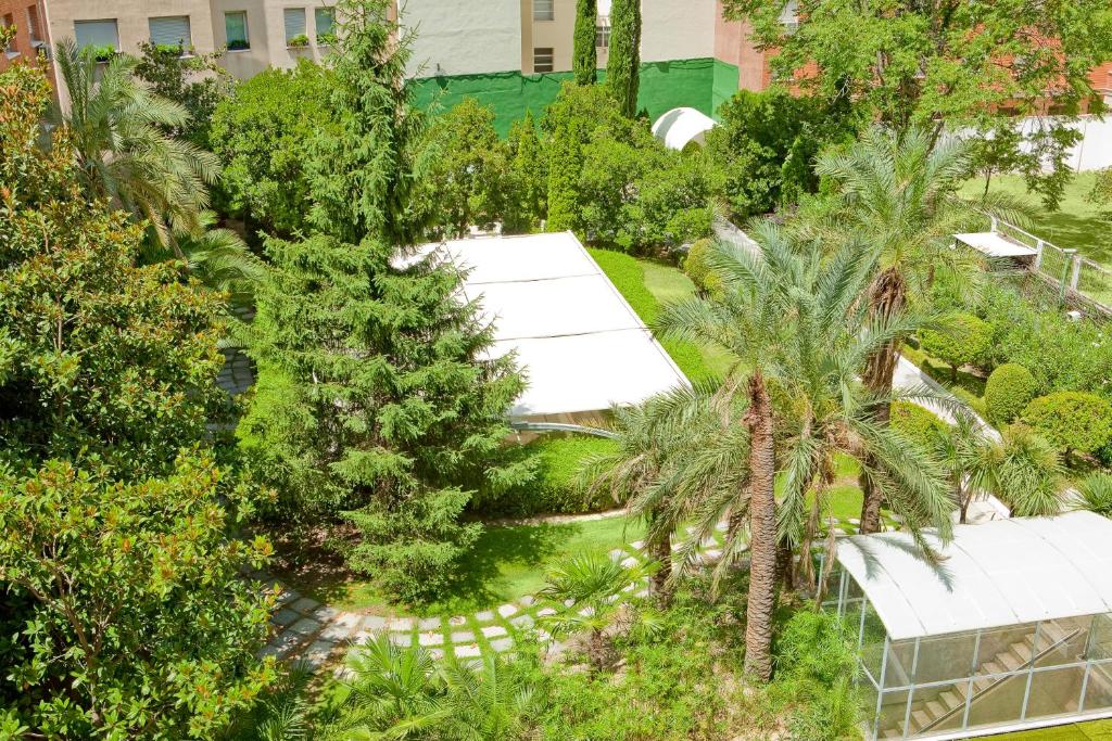 an overhead view of a garden with palm trees at VP Madroño in Madrid