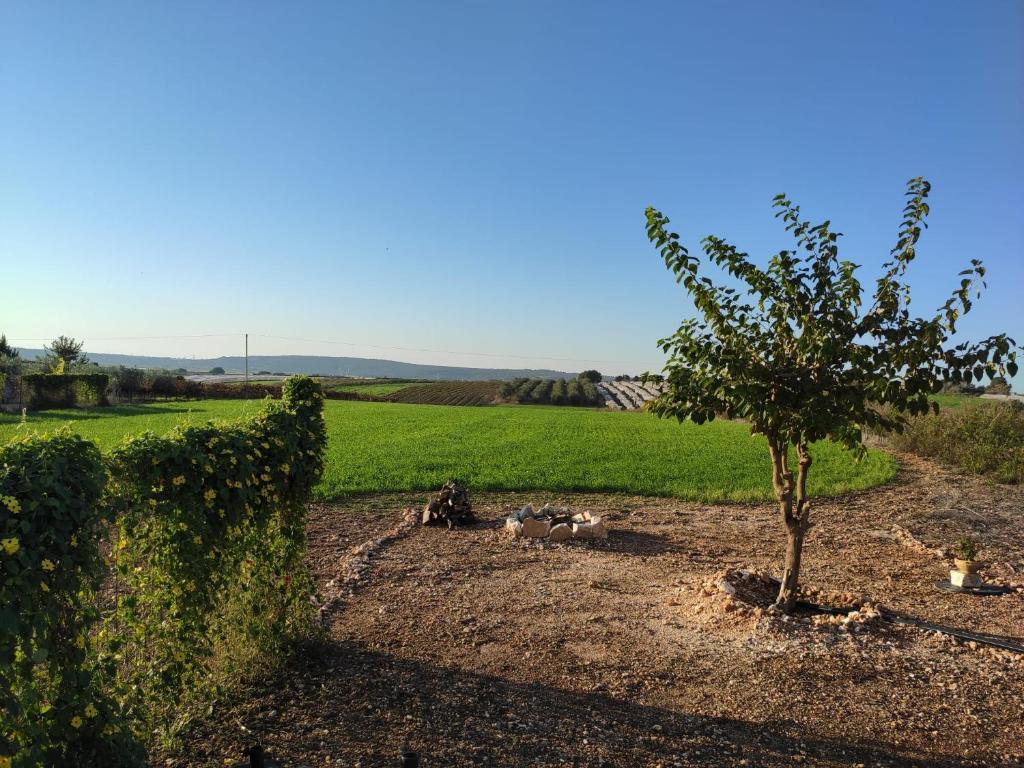 a tree and some animals in a field at Where winery meets olive trees 