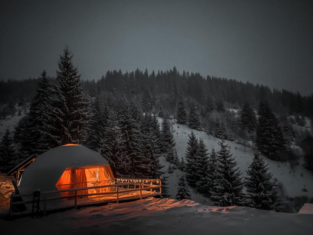 a tent in the snow at night with trees at Cucu Zen Dome Cabana Cazare Bucovina 