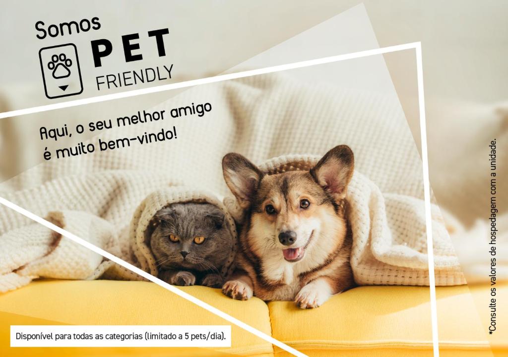 um cartaz de dois cães e um gato num sofá em Slim Cuiabá Aeroporto by Slaviero Hotéis em Várzea Grande