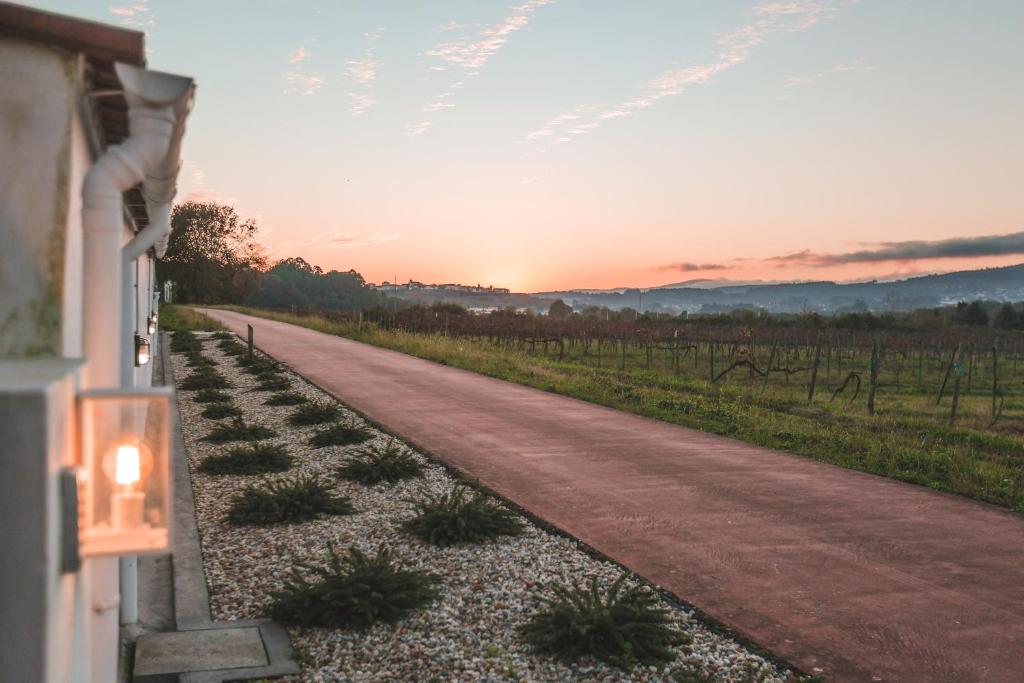 Alma Candida 21 - 17