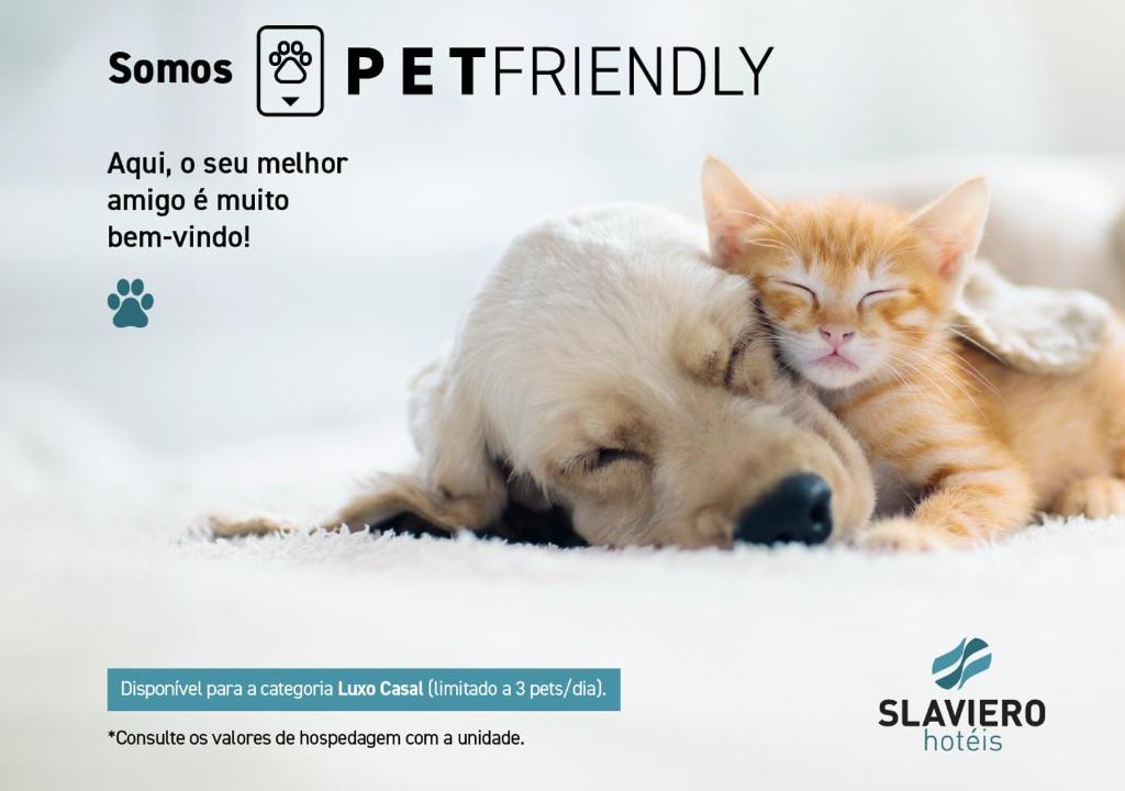 a dog and a cat are laying next to each other at Slaviero Chapecó in Chapecó