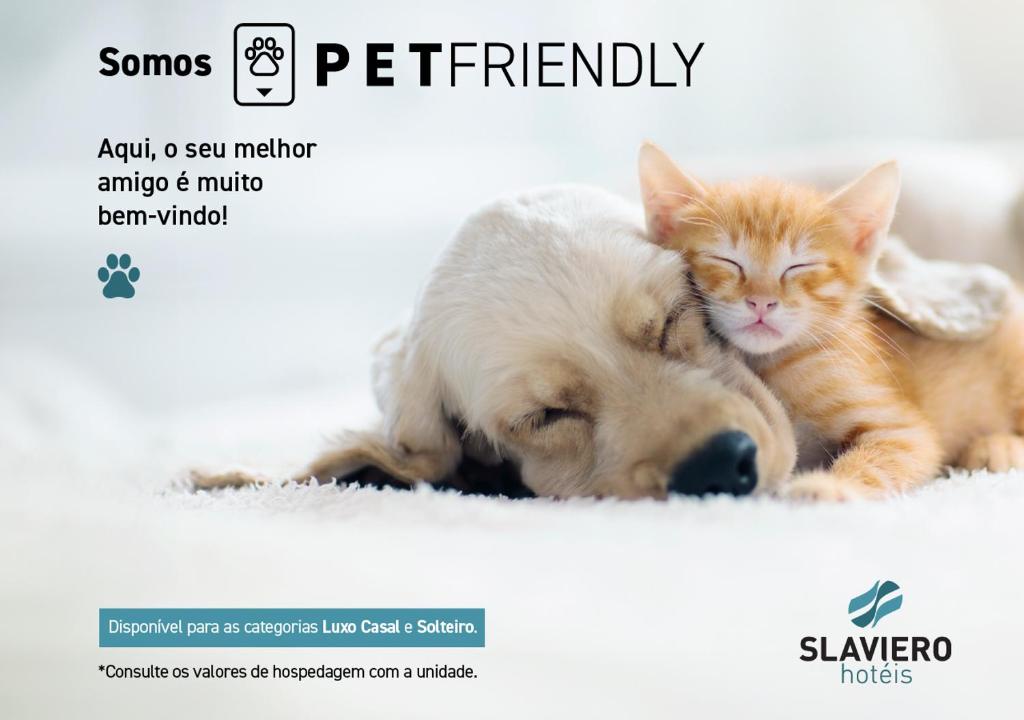 a dog and a cat are laying next to each other at Slaviero São Paulo Moema in Sao Paulo