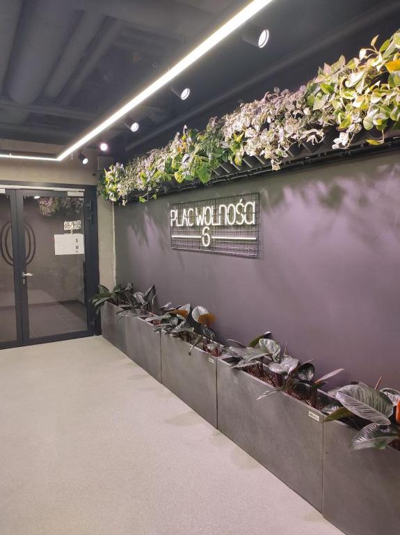 TOTU TODAY-PLAC WOLNOŚCI 6 APARTAMENTY, Faktura VAT, self check-in - 9