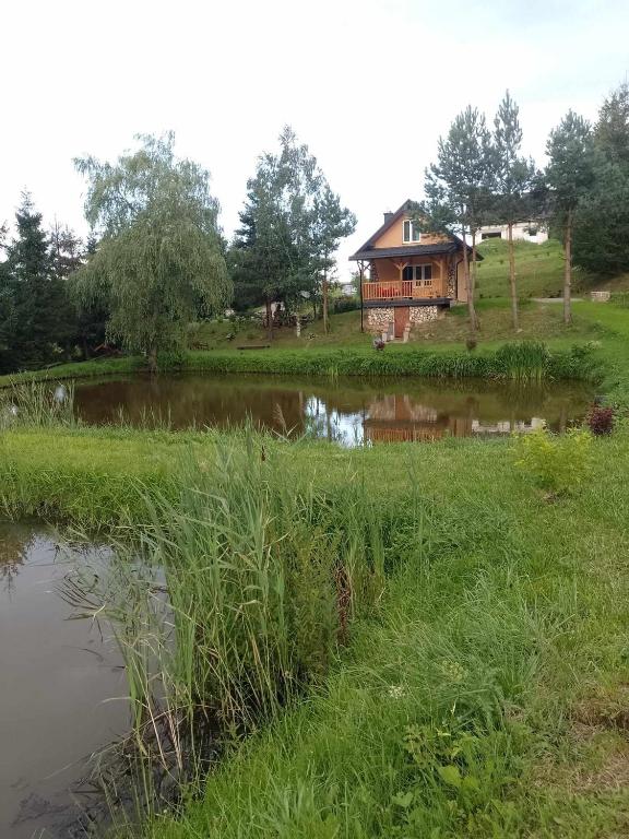 a house on a hill next to a pond at Domek nad Stawem Siemuszowa in Tyrawa Wołoska