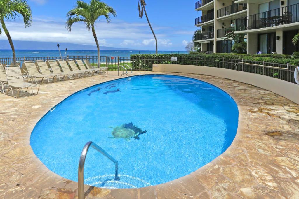 Bazén v ubytování Hololani Resort nebo v jeho okolí