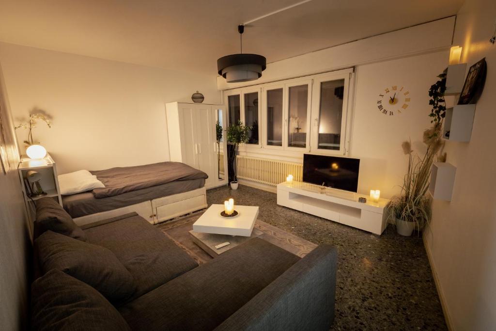 - un salon avec un canapé et un lit dans l'établissement Central and Cozy Haven in Geneva, à Genève