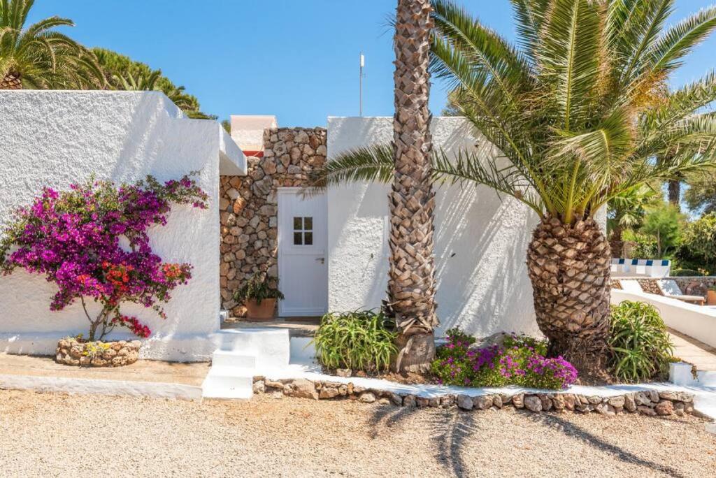 Zahrada ubytování Villa Delfin