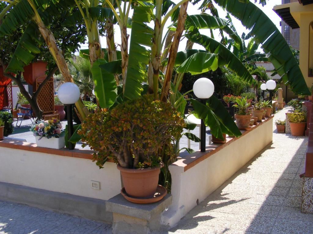 Zahrada ubytování B&B Terra del Sole Agrigento San Leone