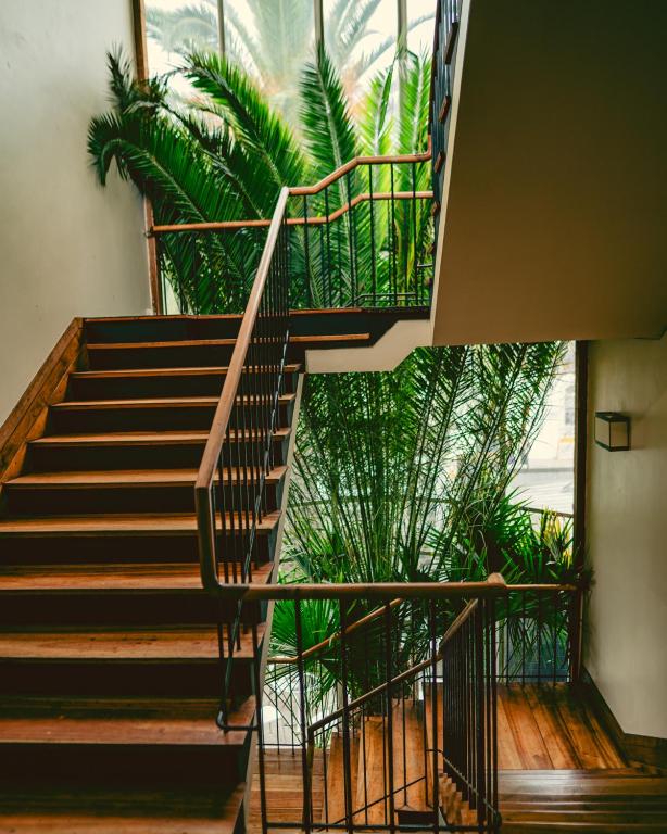 a staircase in a building with green plants at Hotel Boutique Raíces in Curicó