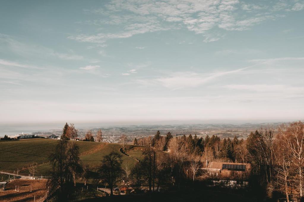 Příroda nedaleko apartmánu