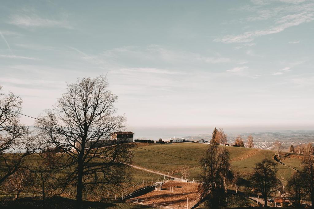 Příroda nedaleko apartmánu