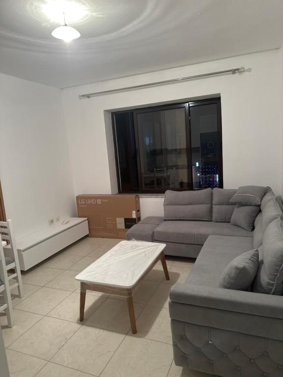 new apartment
