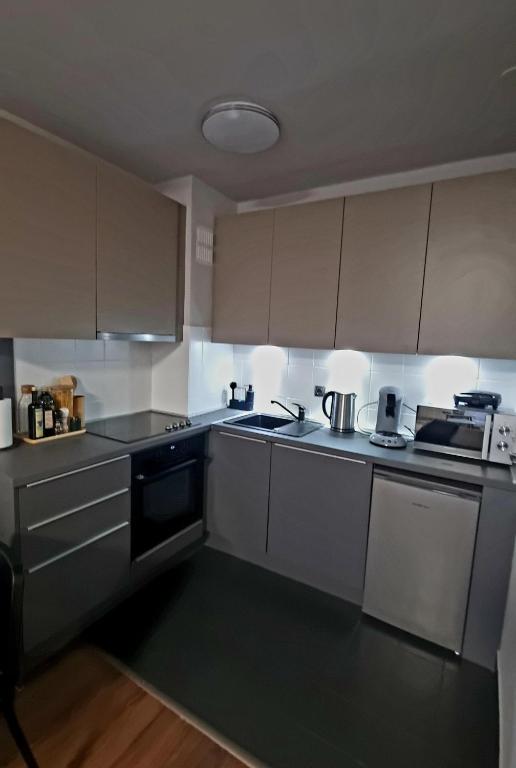 Kuchyň nebo kuchyňský kout v ubytování Studio APARTMAN 404-401