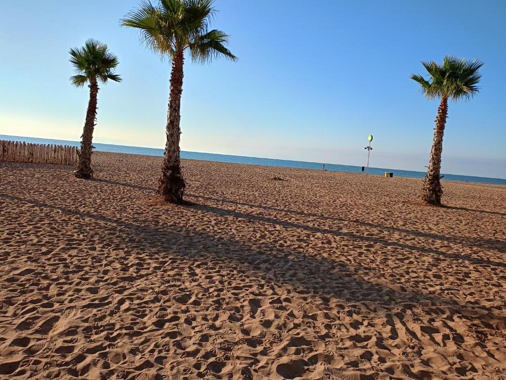 Trois palmiers sur une plage de sable près de l'océan dans l'établissement Maison de vacances bord de mer, idéal famille ou groupe 8 pers, à Sérignan