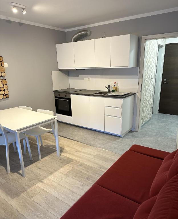 Kuchyň nebo kuchyňský kout v ubytování Apartments Kaninska Vas