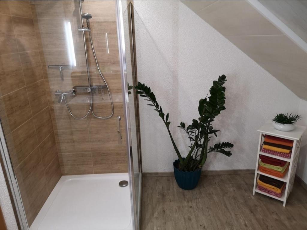 uma casa de banho com um chuveiro e um vaso de plantas em Ahornweg Ferienwohnung em Gebsattel
