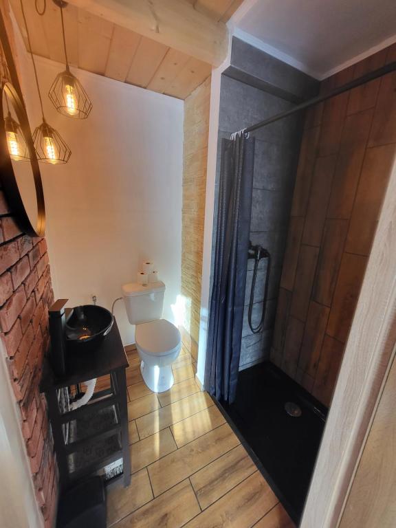 Kúpeľňa v ubytovaní Domek Jelonek