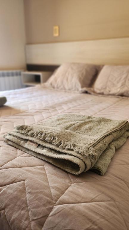 聖拉斐爾的住宿－Departamento Centro San Rafael，铺在床上的毯子