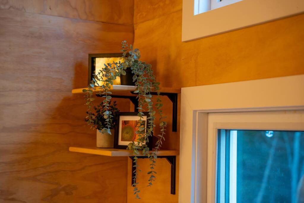 Fotografie z fotogalerie ubytování Sunflower Suite - The Dordean Suites of Chester v destinaci Chester