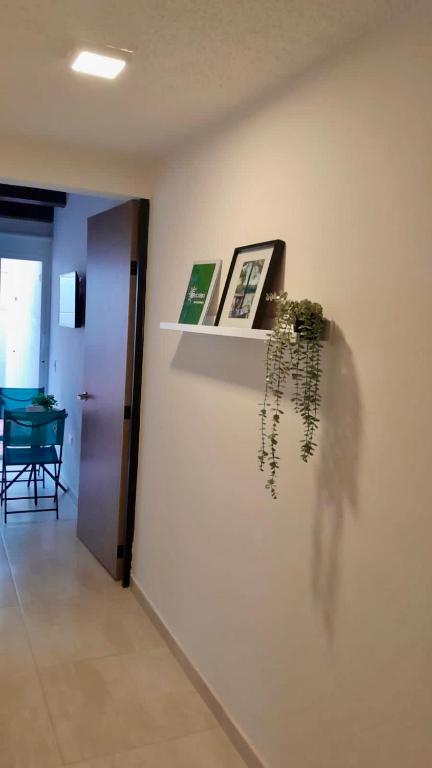 Fotografie z fotogalerie ubytování Hotel TACALOA INN EXPERIENCE v destinaci Ricaurte
