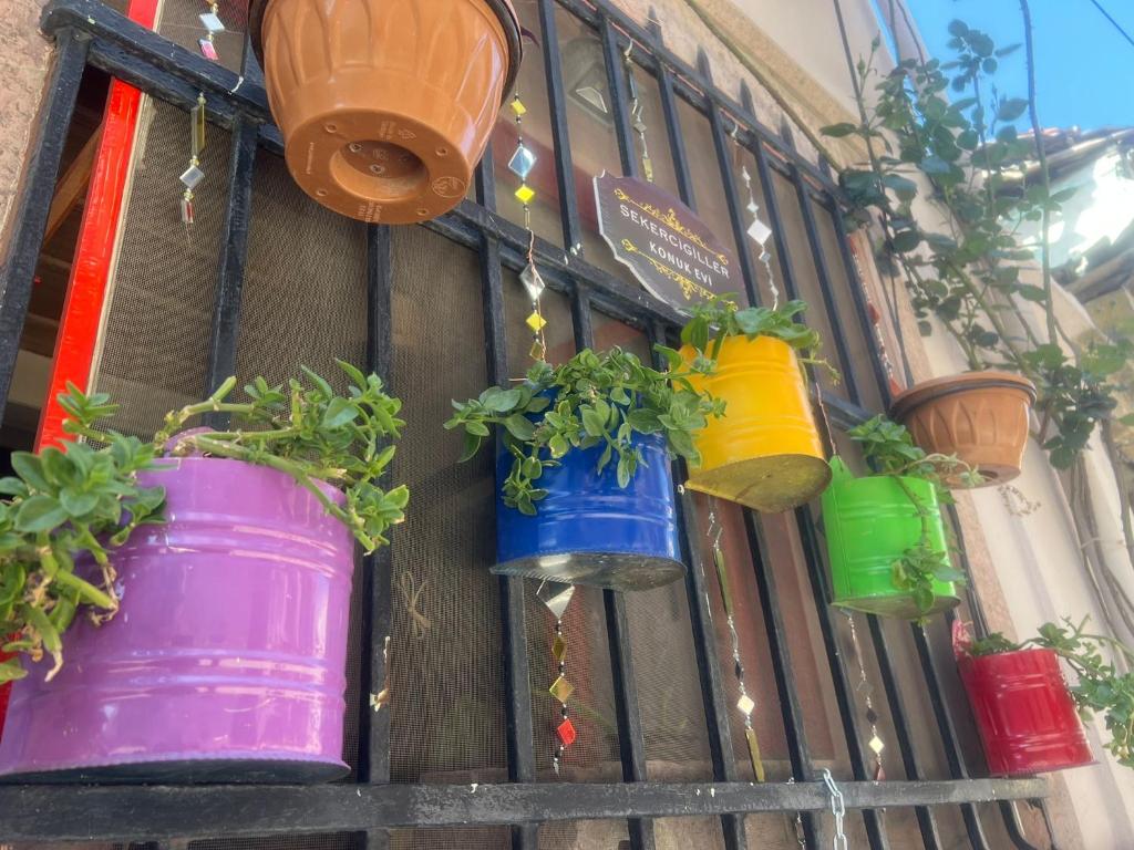 eine Gruppe von Topfpflanzen, die an einer Wand hängen in der Unterkunft şekercigiller konuk evileri in Ayvalık