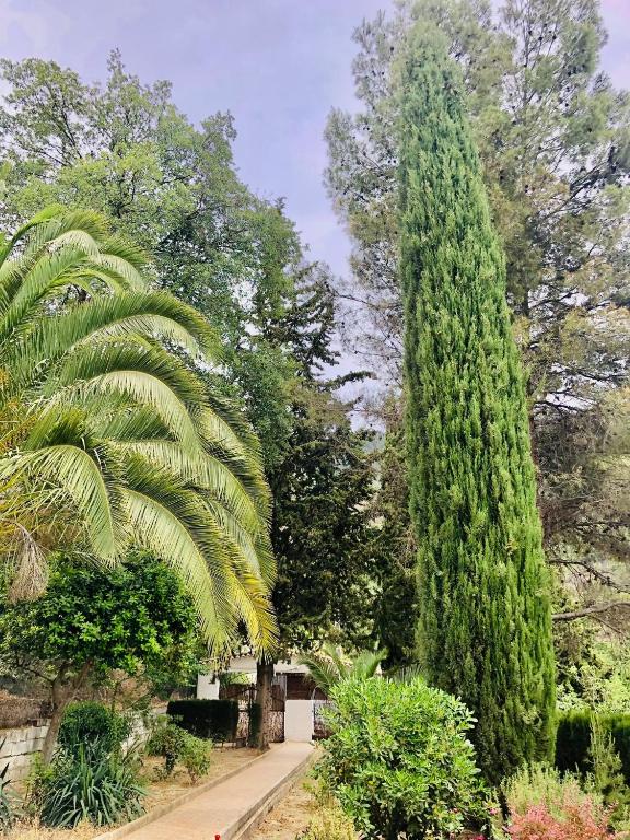 A garden outside Nueva Cazorla Mirador Cerro del Escribano