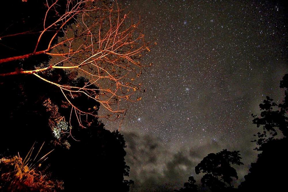 Batu Kapal Guest House & Jungle trekking - Chambre Double Avec Salle De Bain Privée