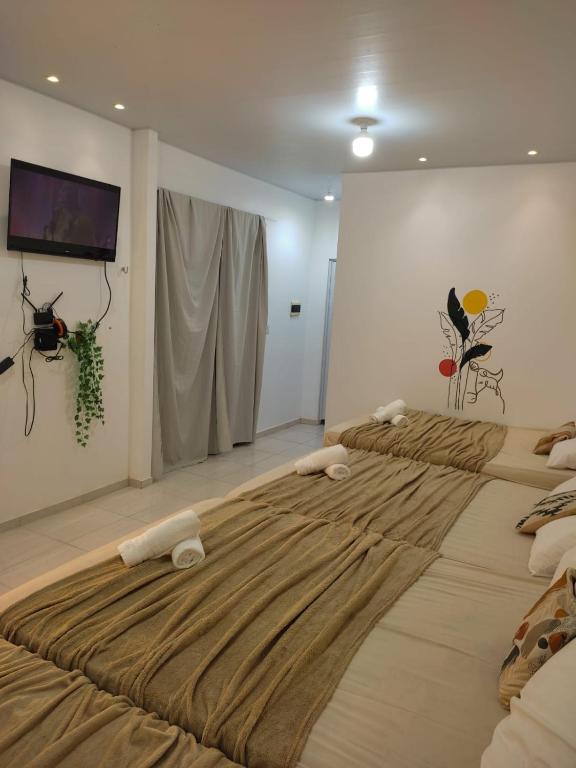 Cette chambre comprend 2 grands lits et une télévision murale. dans l'établissement Pousada Marajó For You - Suíte Master, à Soure