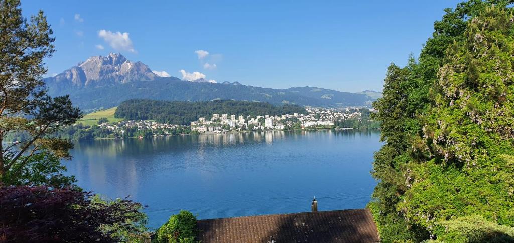uma vista para um lago com uma cidade e uma montanha em Queen Home em Lucerna