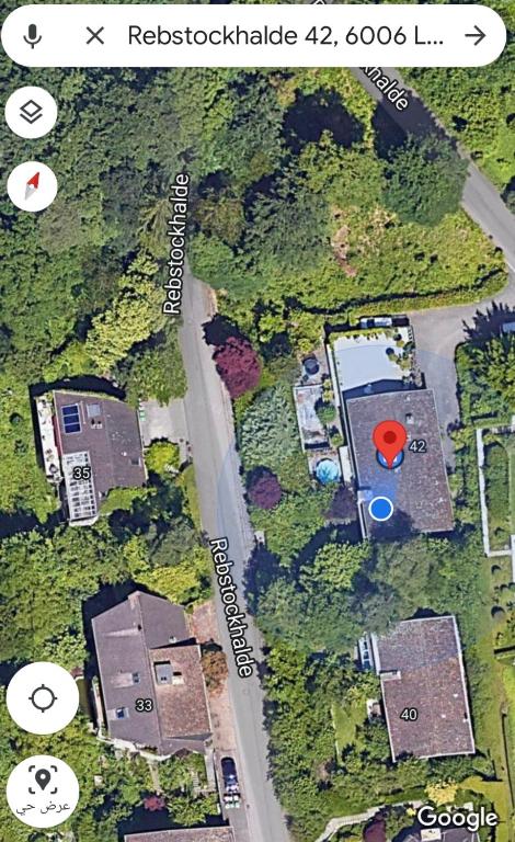 Queen Home - Resim 17